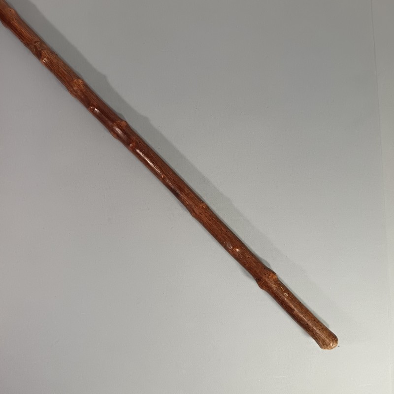 CANE ARTISANAT SOUVENIR DES POILUS DE LA GRANDE GUERRE MARQUEE 14 A 17 FORET DE PARR (PARROY - MEURTHE ET MOSELLE)